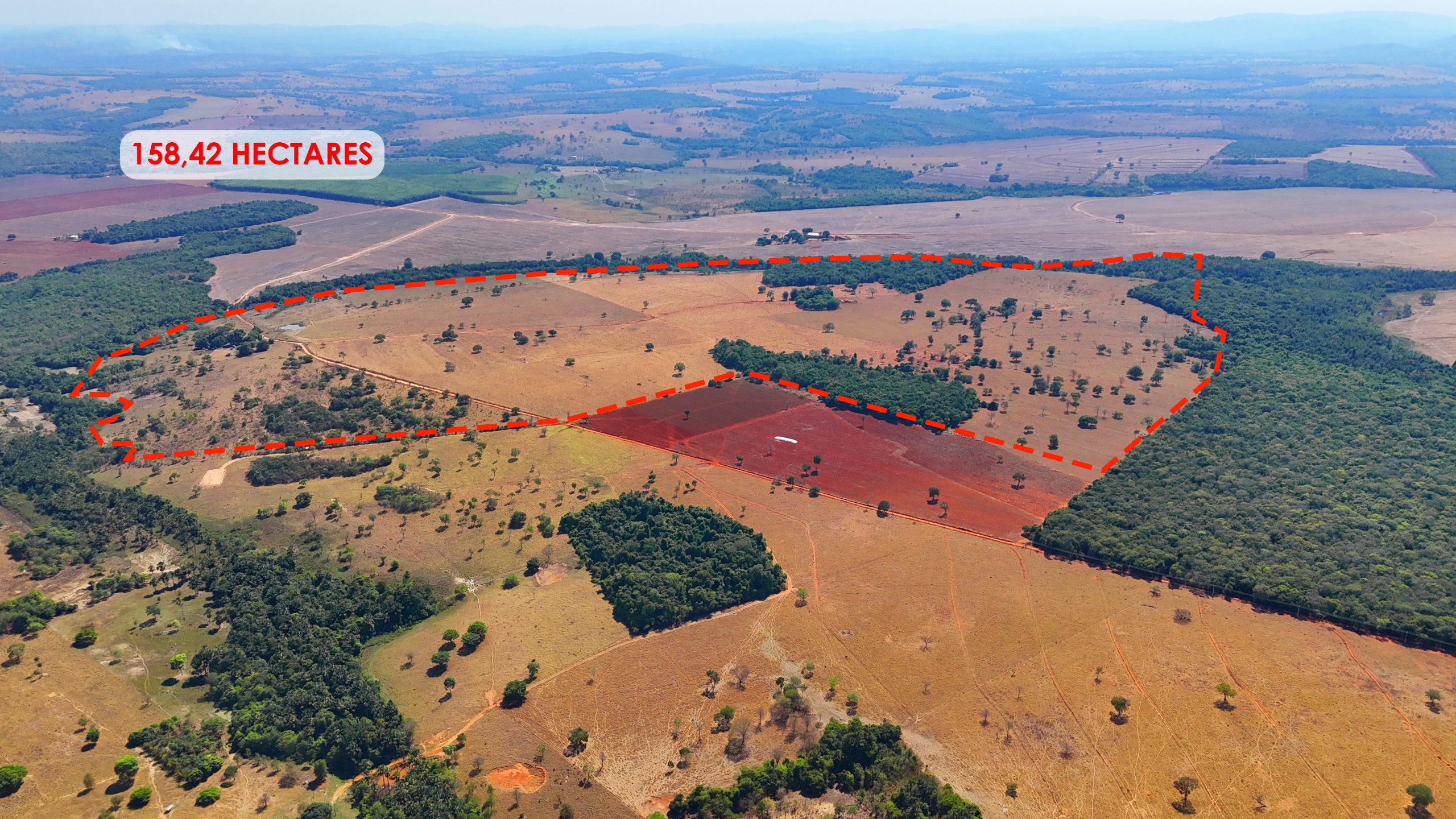 Fazenda em Jaraguá-GO à venda com 32 alqueires, rica em água e alto potencial produtivo